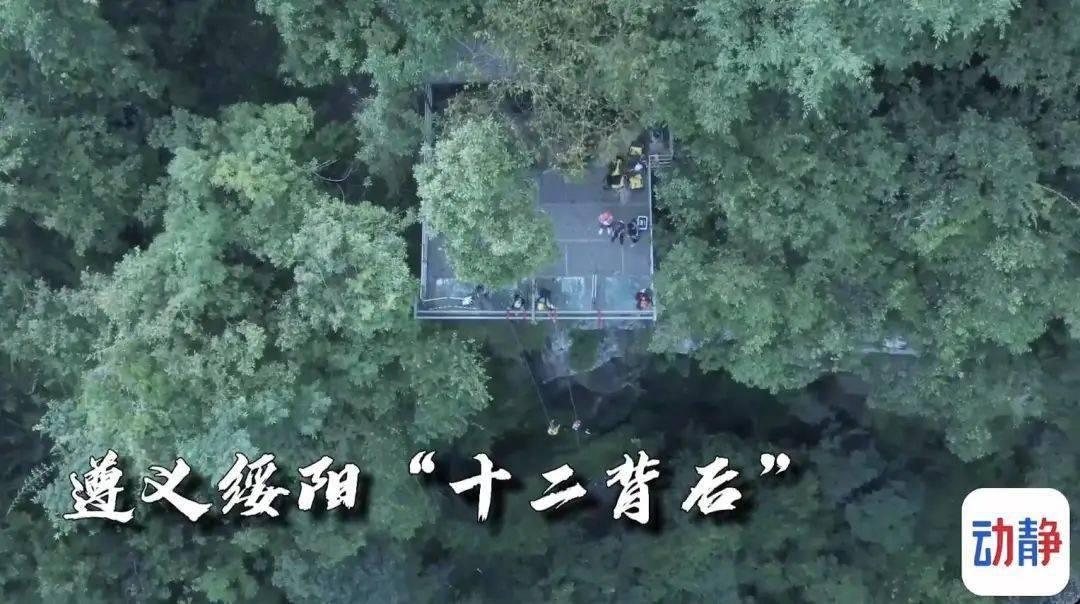 月光影视